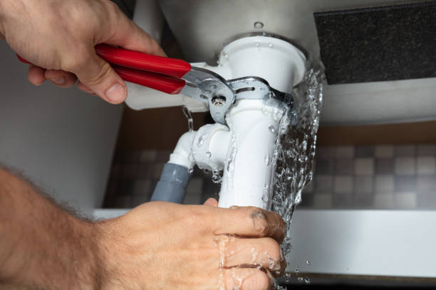 Best Flood damage cleanup  in Bowling Green, MD