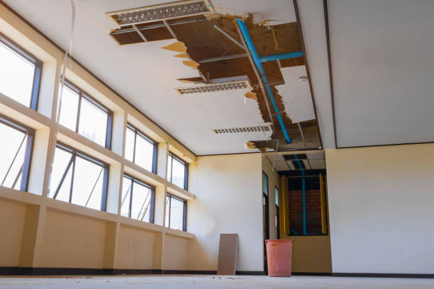 Best 24/7 water damage repair  in Bowling Green, MD