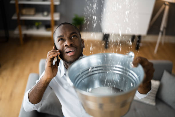 Best Fire Damage Restoration  in Bowling Green, MD
