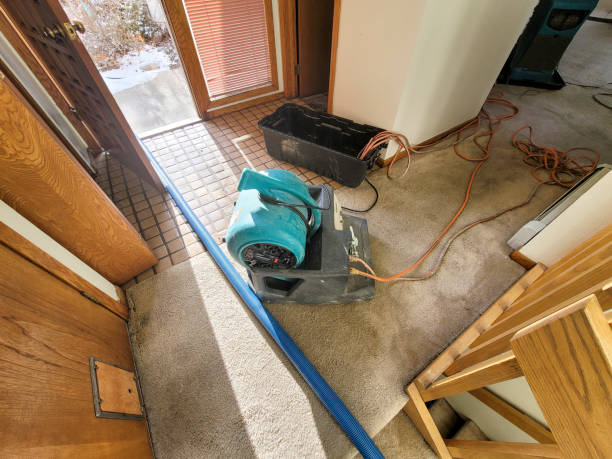 Best Local water damage restoration  in Bowling Green, MD