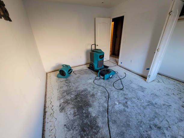 Best Flood damage cleanup  in Bowling Green, MD