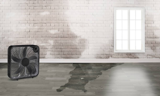 24/7 water damage repair in Bowling Green, MD