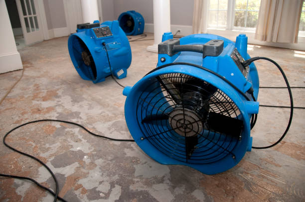 Best Water damage repair service  in Bowling Green, MD