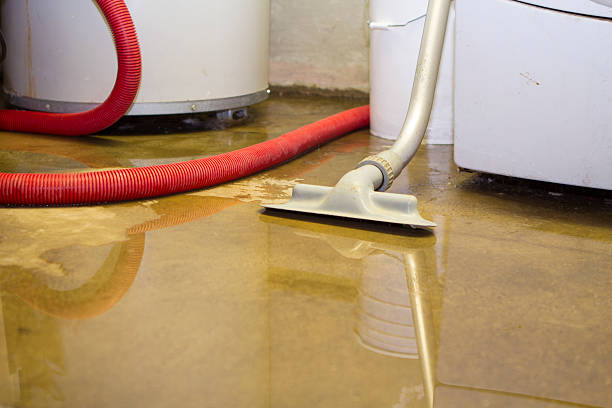 Best 24/7 water damage repair  in Bowling Green, MD
