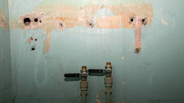 Best 24-hour water damage restoration  in Bowling Green, MD
