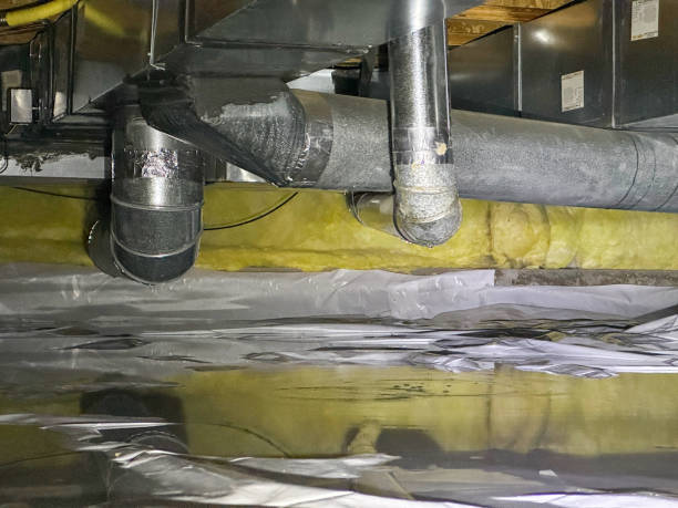 Best Water damage restoration mold remediation  in Bowling Green, MD