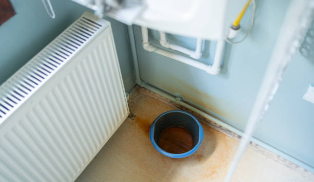 Best Water damage contractors near me  in Bowling Green, MD