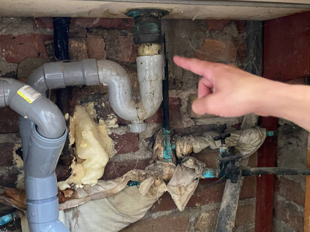 Best Water damage restoration near me  in Bowling Green, MD