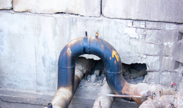 Best Professional water damage repair  in Bowling Green, MD