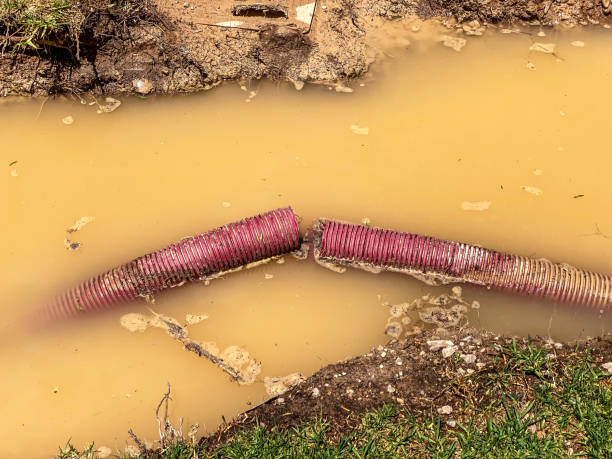 Best Water damage restoration cost  in Bowling Green, MD