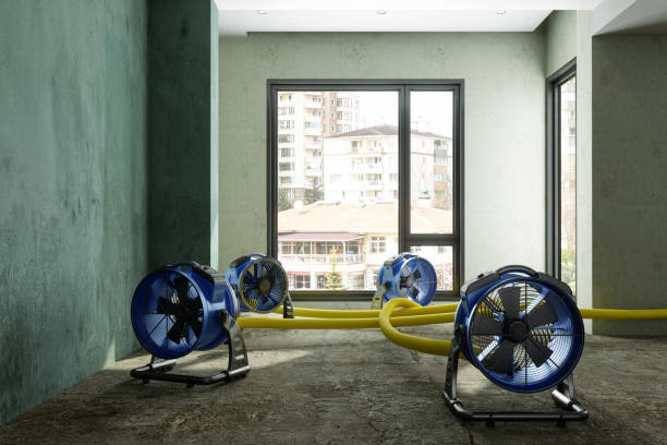 Best Fire Damage Restoration  in Bowling Green, MD