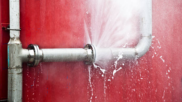 Best Flood damage cleanup  in Bowling Green, MD